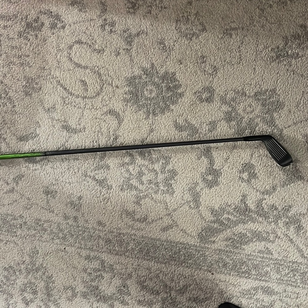 Adam’s hybrid